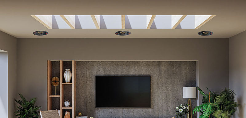 Ceiling Speaker for Home Cinema