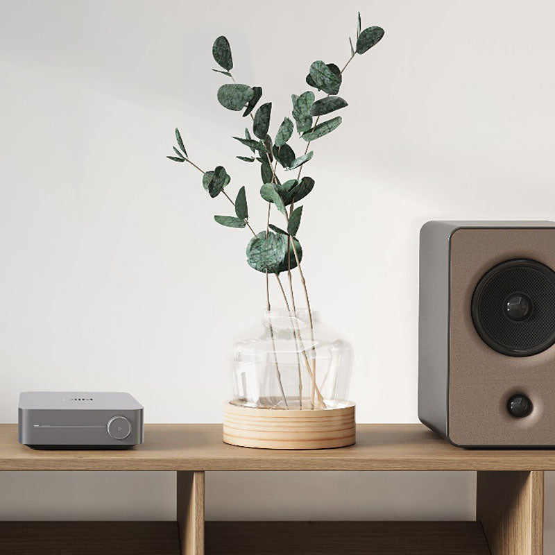 WiiM Amp Wi-Fi Streaming Amplifier