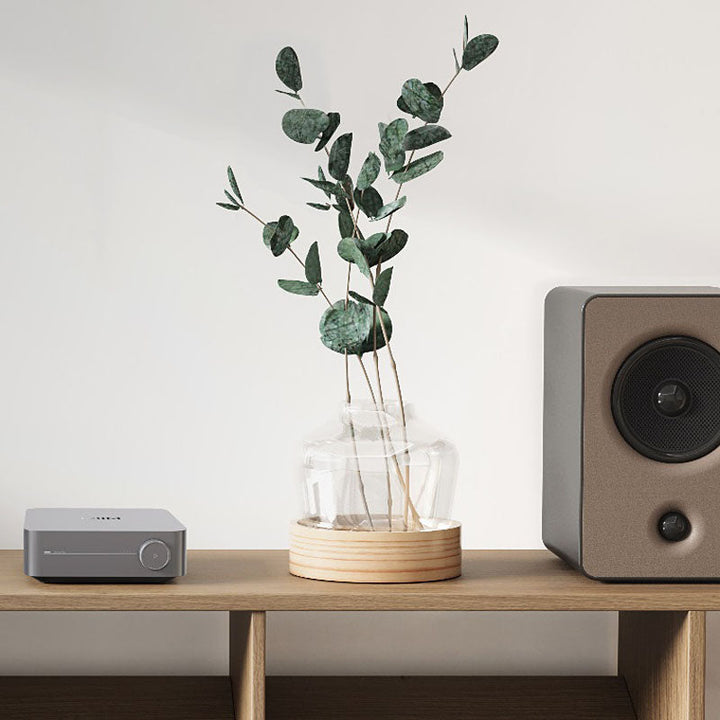 WiiM Amp Wi-Fi Streaming Amplifier