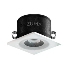 Zuma Luminaire Downlight