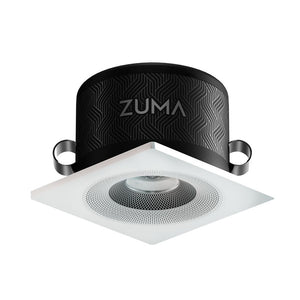 Zuma Luminaire Downlight