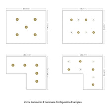 Zuma Luminaire Downlight